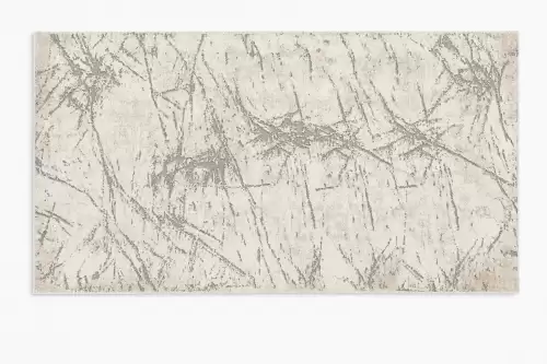 Covor Modern, Elegant, 300x400cm, gros si pufos, SHINNY V1, Gri/Alb